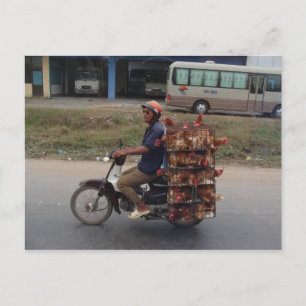 Chickens på Motorcycle-Vietnam Vykort