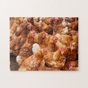 Chickens Pussel
