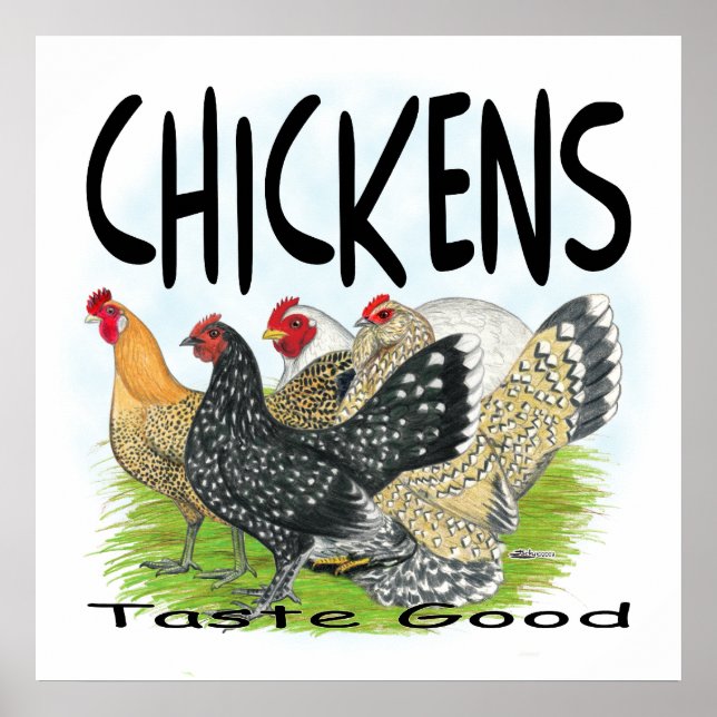 Chickens Taste Bra! Poster (Framsidan)