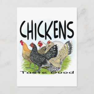 Chickens Taste Bra! Vykort
