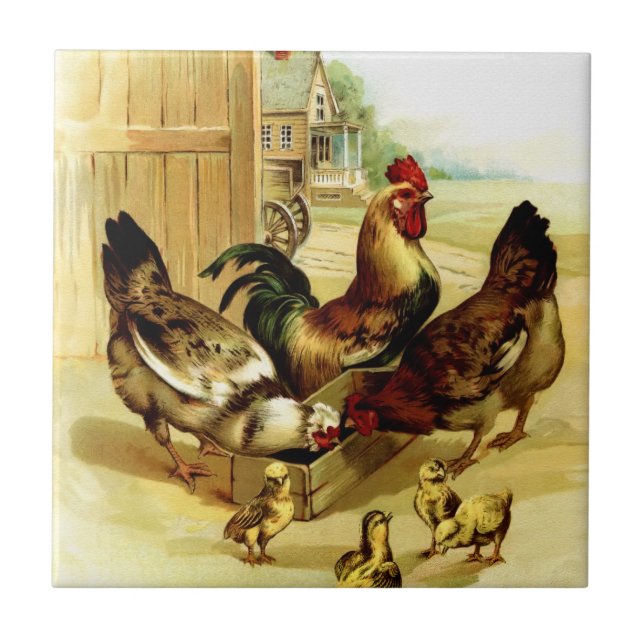 Chickens Tupp och Chickar Kakelplatta (Framsidan)