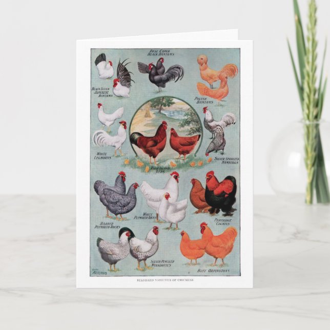 Chickens Vintage Bok Page Kort (Framsida)
