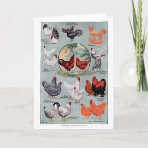 Chickens Vintage Bok Page Kort