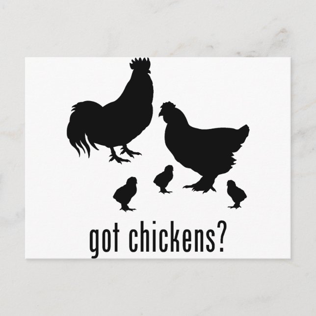 Chickens Vykort (Framsida)