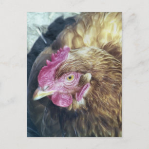 CHICKENS VYKORT