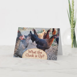 Chickens What's Up Funny Humor Card Kort
