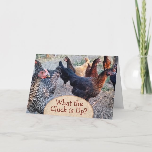 Chickens What's Up Funny Humor Card Kort (Framsida)