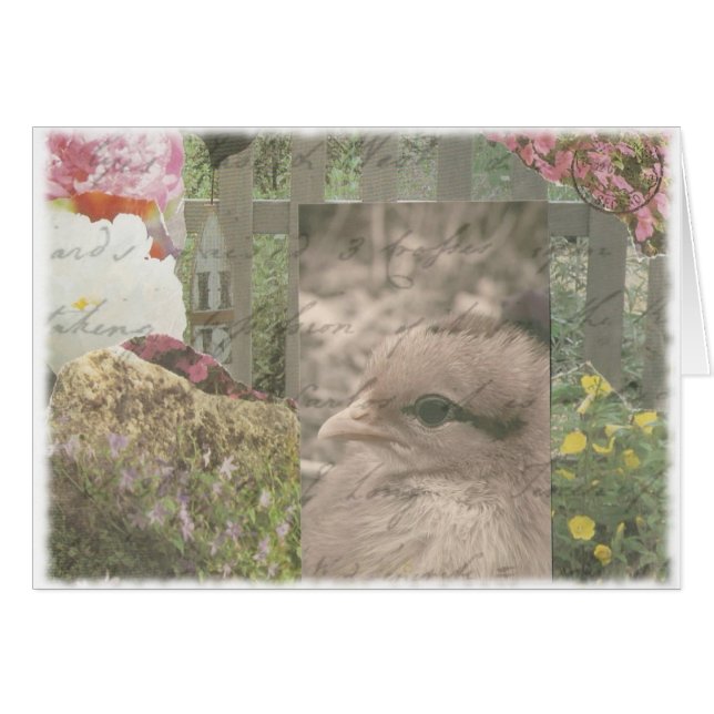 Chickie 1 hälsningskort (Framsidan Horizontal)