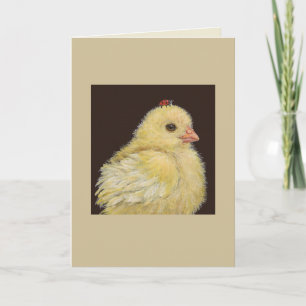 Chickie- och dam-kort kort