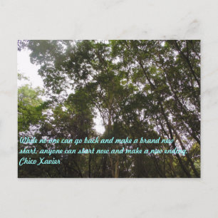 Chico Xavier Quotes Vykort