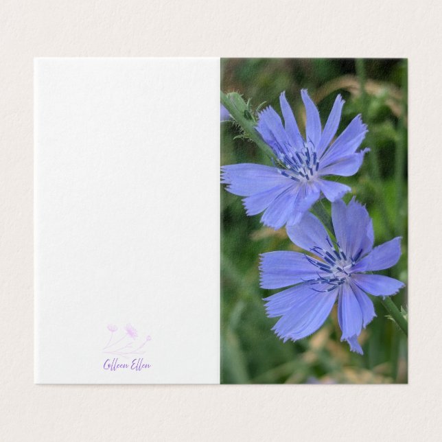 Chicory Flower Folded Note Card Kort (Utsida ovikt)