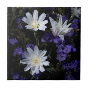 Chicory och Phacelia vilda blommor Kakelplatta