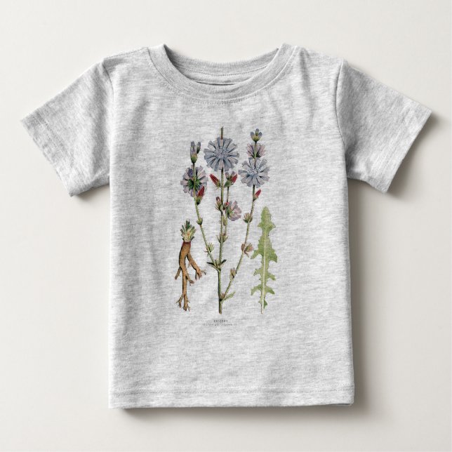 Chicory Tee Shirt (Framsida)