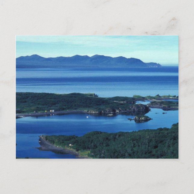 Chief Cove Kodiak Vykort (Framsida)