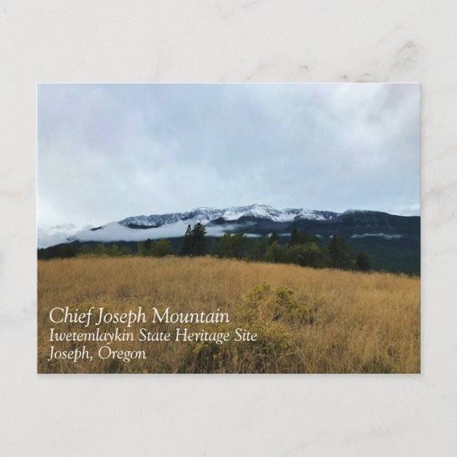 Chief Joseph Mountain, Oregon Vykort (Framsida)