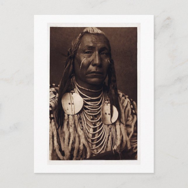 Chief Red Vinge - Tatankamani - Walking Buffalo Vykort (Framsida)