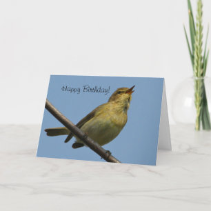 ChiffChaff grattis på födelsedagenkort Kort