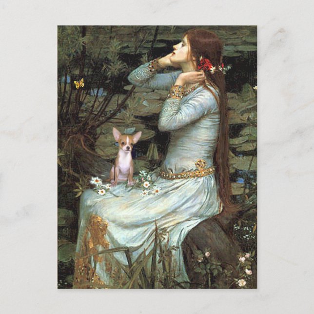 Chihuahua 1 - Ophelia Seated Vykort (Framsida)