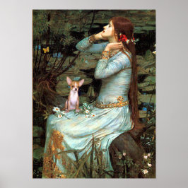 Chihuahua 1 - Ophelia sittande Poster
