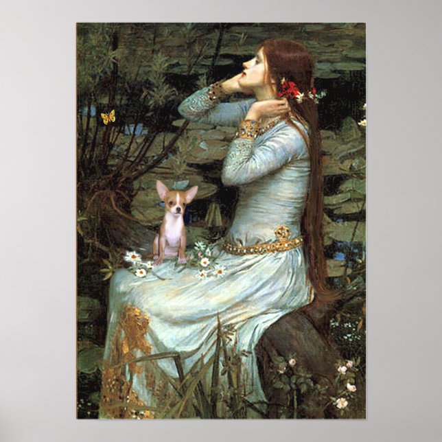 Chihuahua 1 - Ophelia sittande Poster (Framsidan)