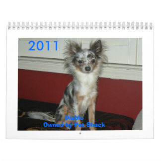 Chihuahua 2011 Calander Kalender