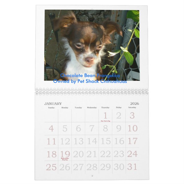 Chihuahua 2011 Calander Kalender (Jan 2026)