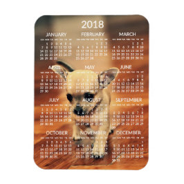 Chihuahua 2018 Calendar Photo Magnet 3x4 Small