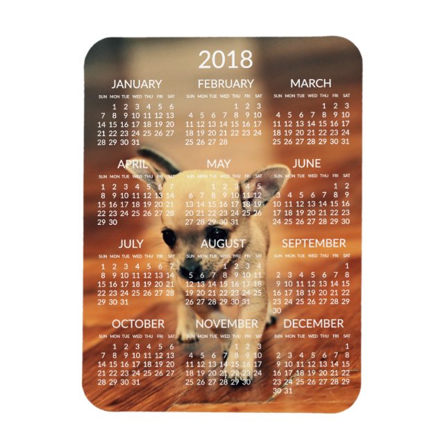 Chihuahua 2018 Calendar Photo Magnet 3x4 Small (Vertikal)