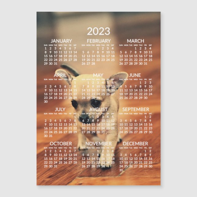 Chihuahua 2023 Calendar Photo Magnetic Card (Framsida)