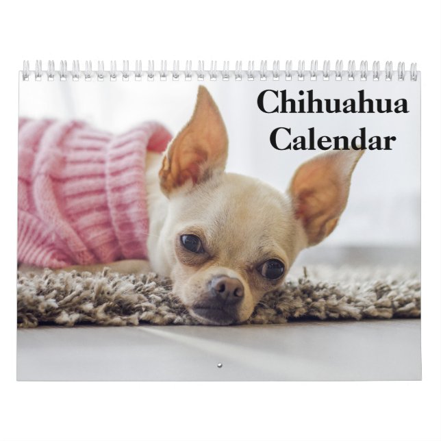 Chihuahua 2025 kalender (Omslag)