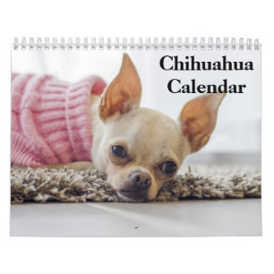 Chihuahua 2025 kalender