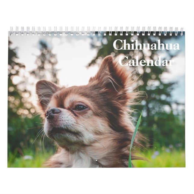 Chihuahua 2025-kalender kalender (Omslag)