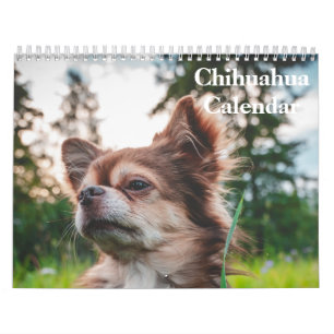 Chihuahua 2025-kalender kalender