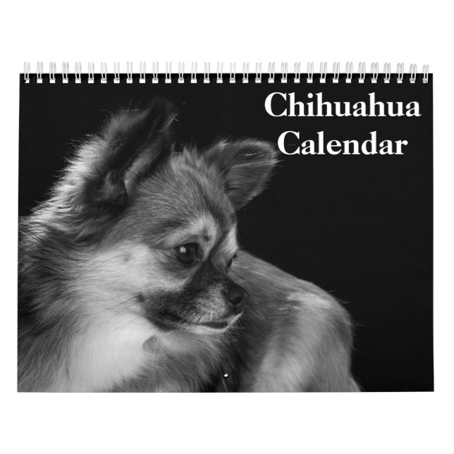 Chihuahua 2027 kalender (Omslag)