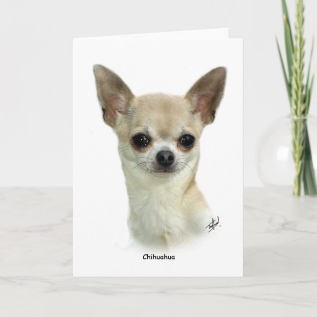 Chihuahua 9P93D-123_2 Kort (Framsida)