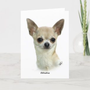 Chihuahua 9P93D-123_2 Kort