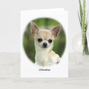Chihuahua 9P93D-123 Kort