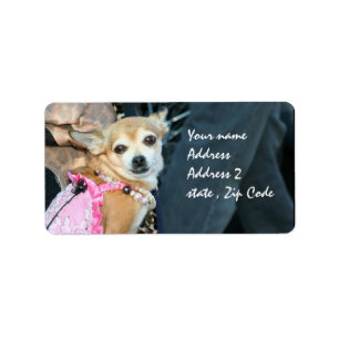 Chihuahua Adressetikett