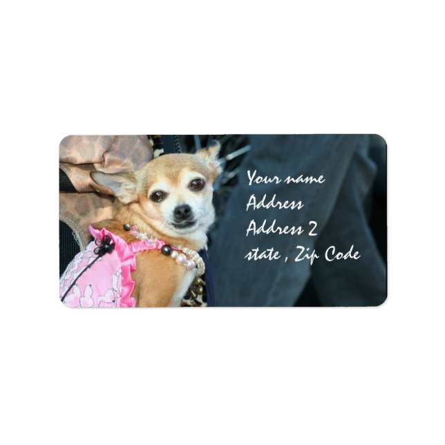 Chihuahua Adressetikett (Framsidan)