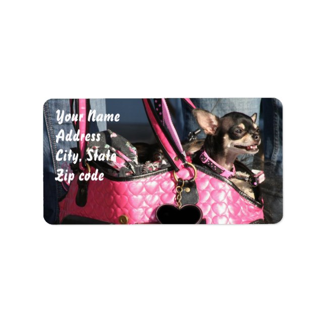 Chihuahua Adressetiketter (Framsidan)