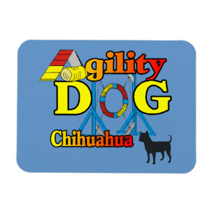 Chihuahua Agilitet Magnet