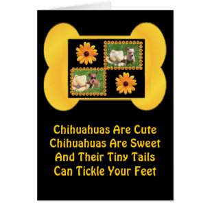 Chihuahua Älskare Delight Hälsningskort