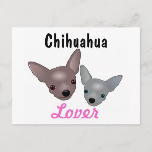 Chihuahua Älskare-vykort Vykort
