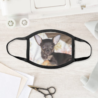 chihuahua ansikte mask