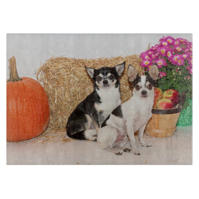 Chihuahua är i fallet (Framsidan)