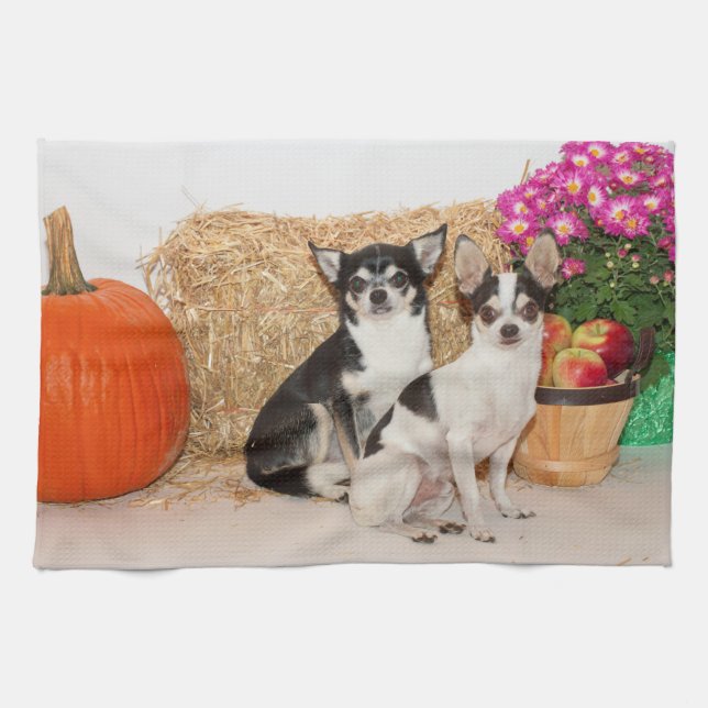 Chihuahua är i fallet kökshandduk (Horisontell)