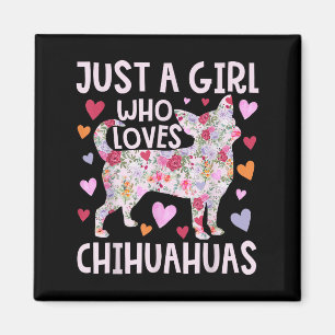 Chihuahua Bara en flicka som Kärlek Chihuahuas Hun Magnet