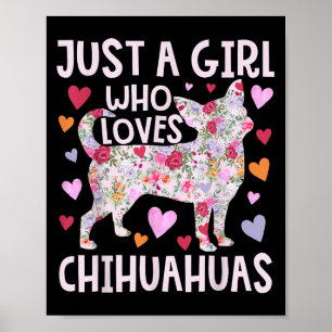 Chihuahua Bara en flicka som Kärlek Chihuahuas Hun Poster
