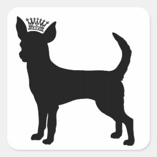Chihuahua Basic Black Krona Silhouette Fyrkantigt Klistermärke