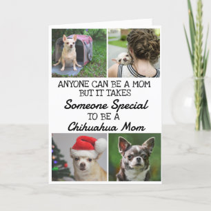 Chihuahua.. Bästa Mamma-Mors dag-kort Tack Kort